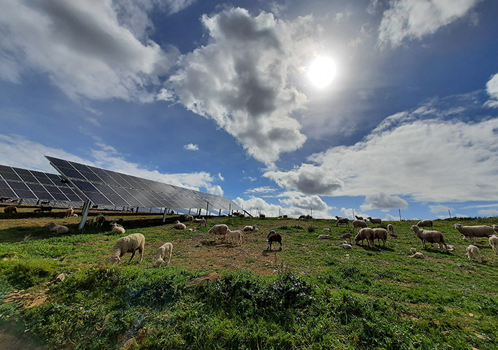 foto Capital Energy avanza en la tramitación de La Encantada, su primera planta fotovoltaica en Castilla-La Mancha, de 8 MW de capacidad.